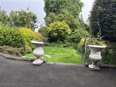 Picture 29